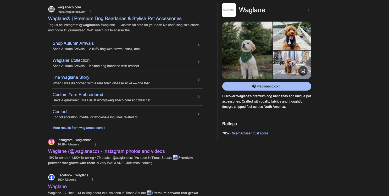 Strategic On-Page, Off-Page SEO & Backlink Activation