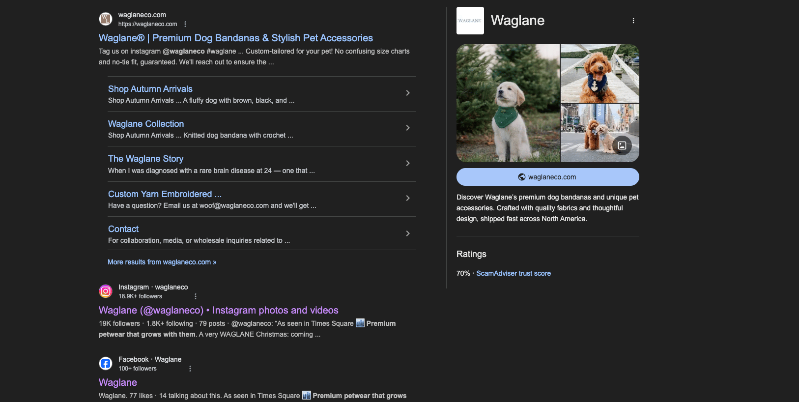 Strategic On-Page, Off-Page SEO & Backlink Activation