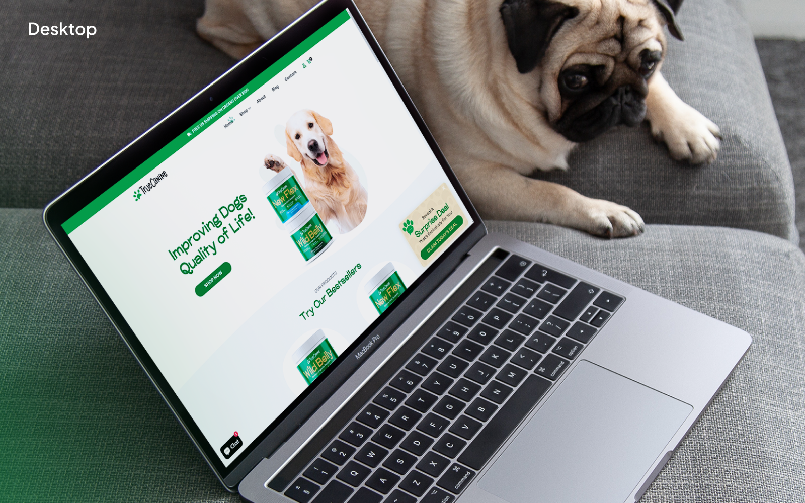 Full brand, packaging and Shopify launch for True Canine with 27% higher conversions
