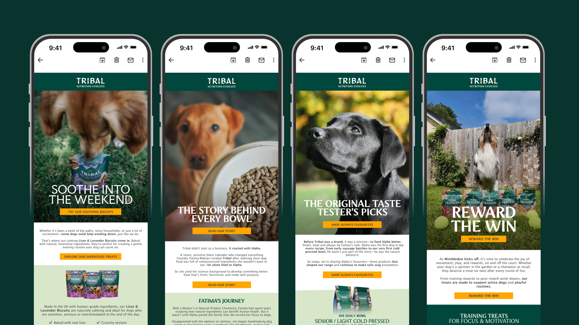 Unlocking Growth Through Strategic Email Marketing