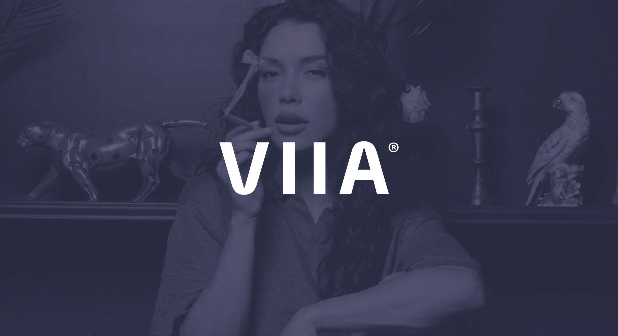 VIIA Hemp | Migrating from WooCommerce to Shopify Plus