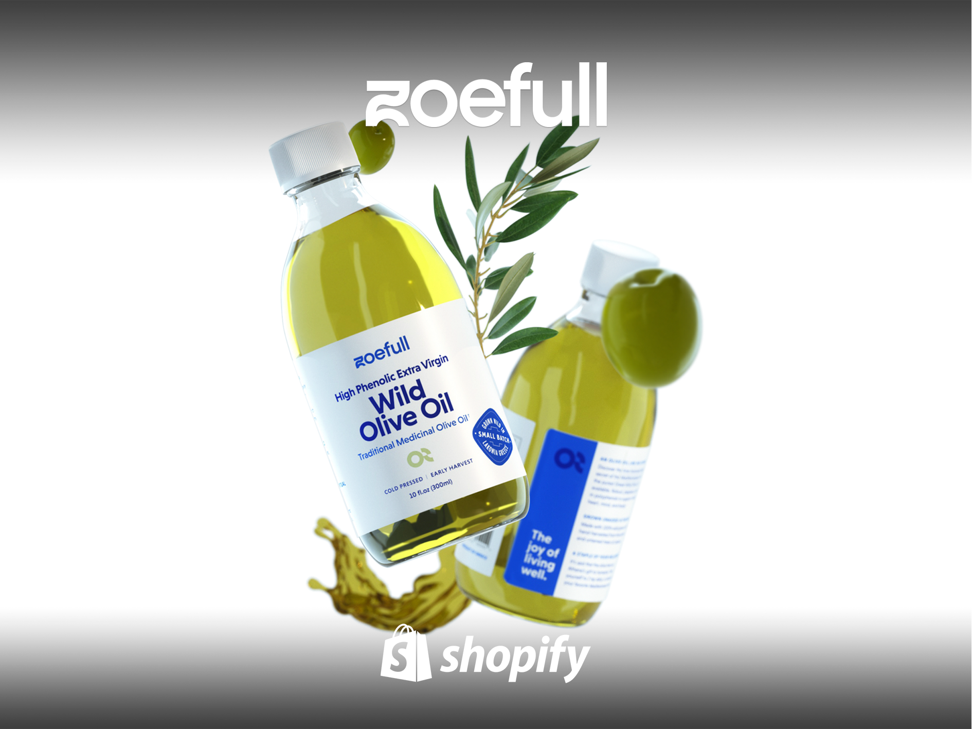 From Zero to a High-Converting, Multi-Seven-Figure Shopify Store