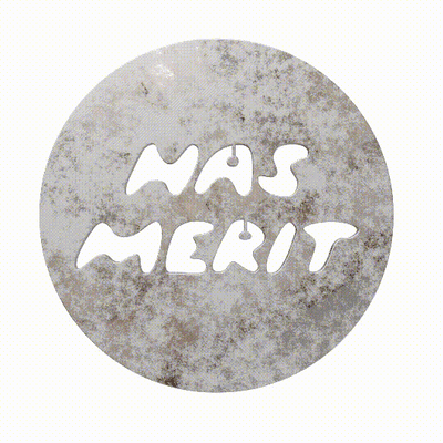 Has Merit