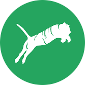 KSTiger Fancy Commerce
