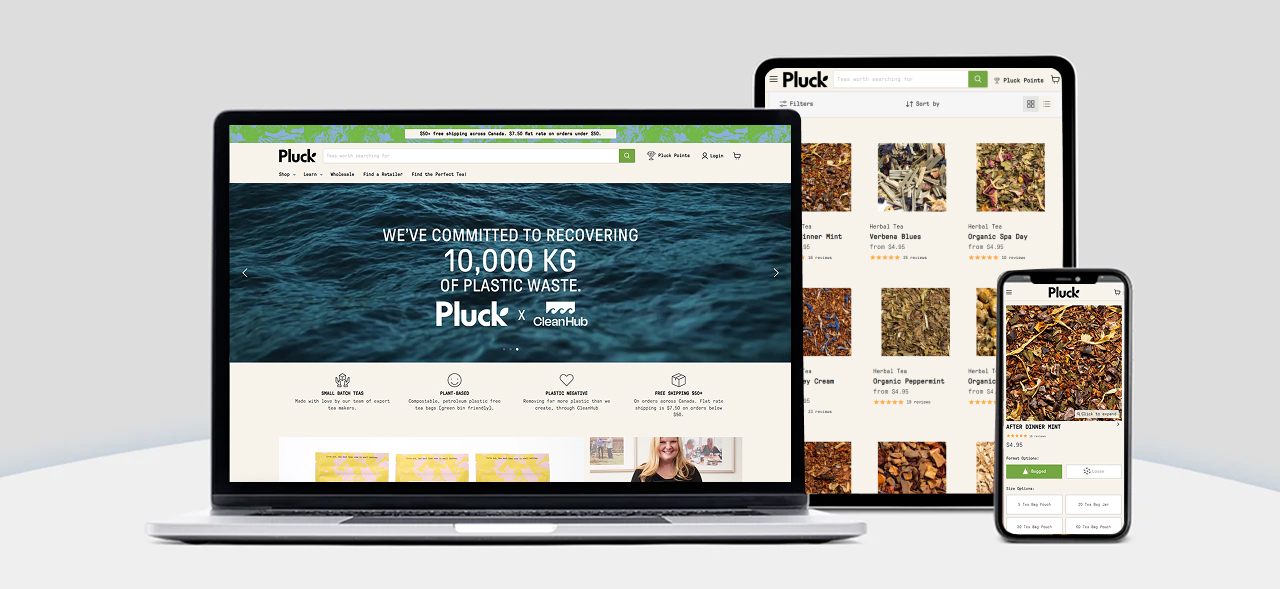 New Shopify Store Development