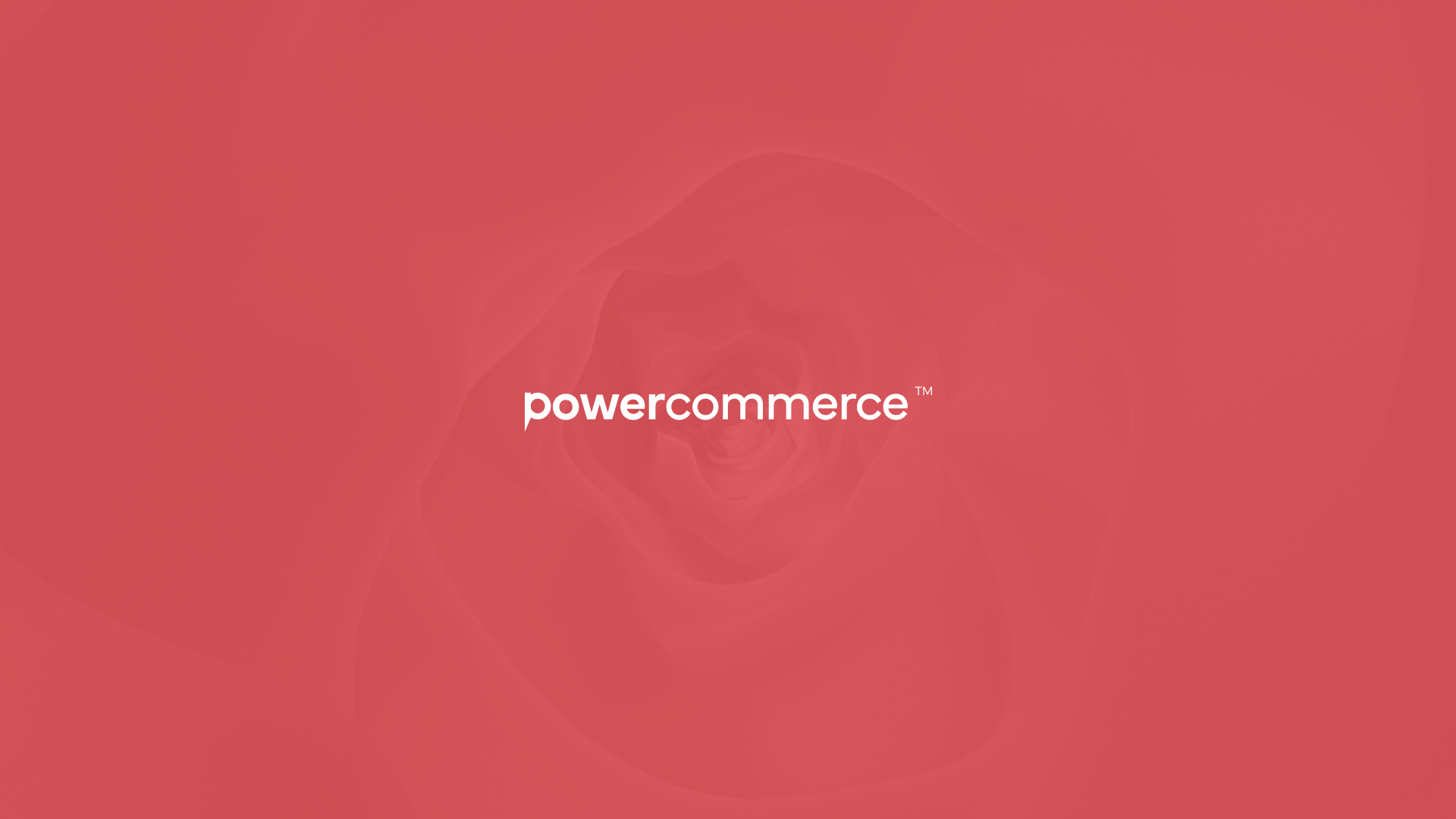 Automated Content Engine & Indexing