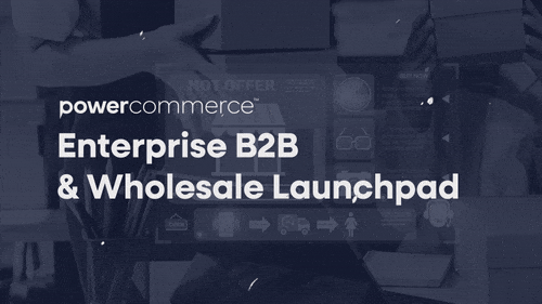 Enterprise B2B & Wholesale Launchpad