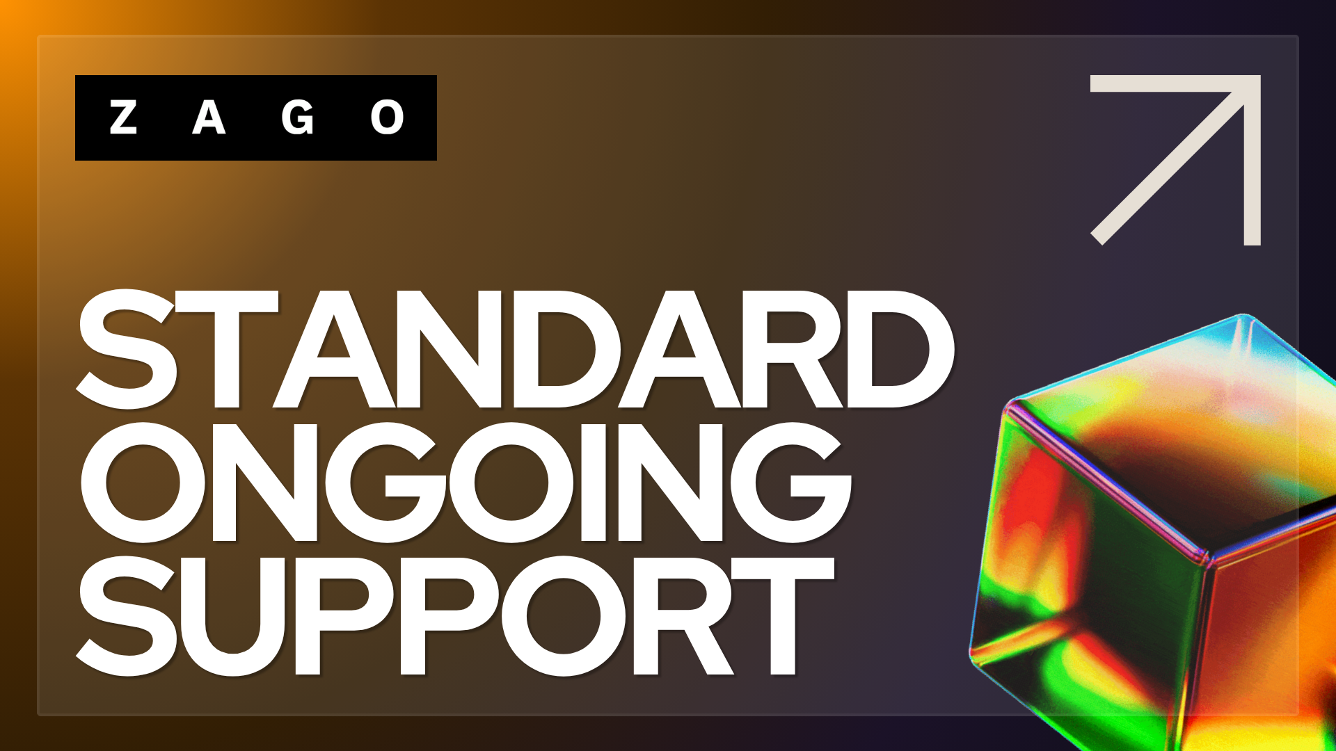 Standard Ongoing Support